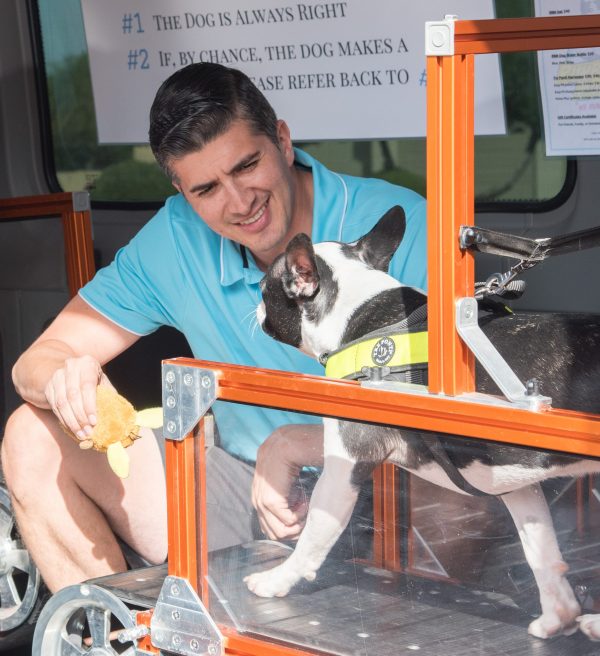 Bark N' Roll provides mobile treadmill service, exercise to dogs